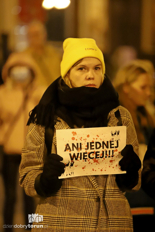 Protest 
