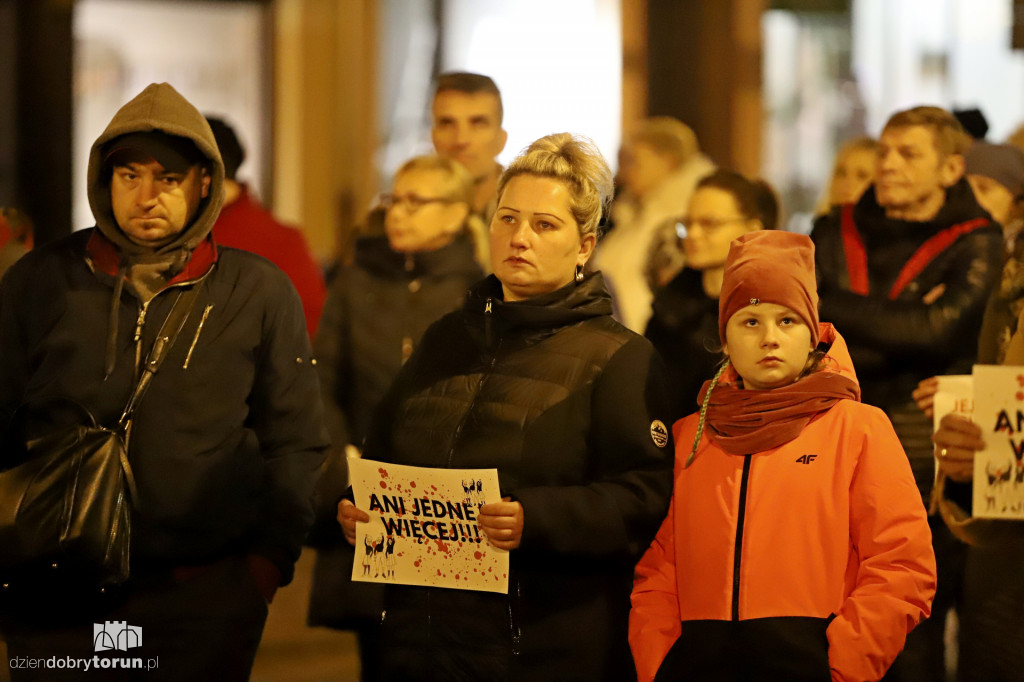 Protest 