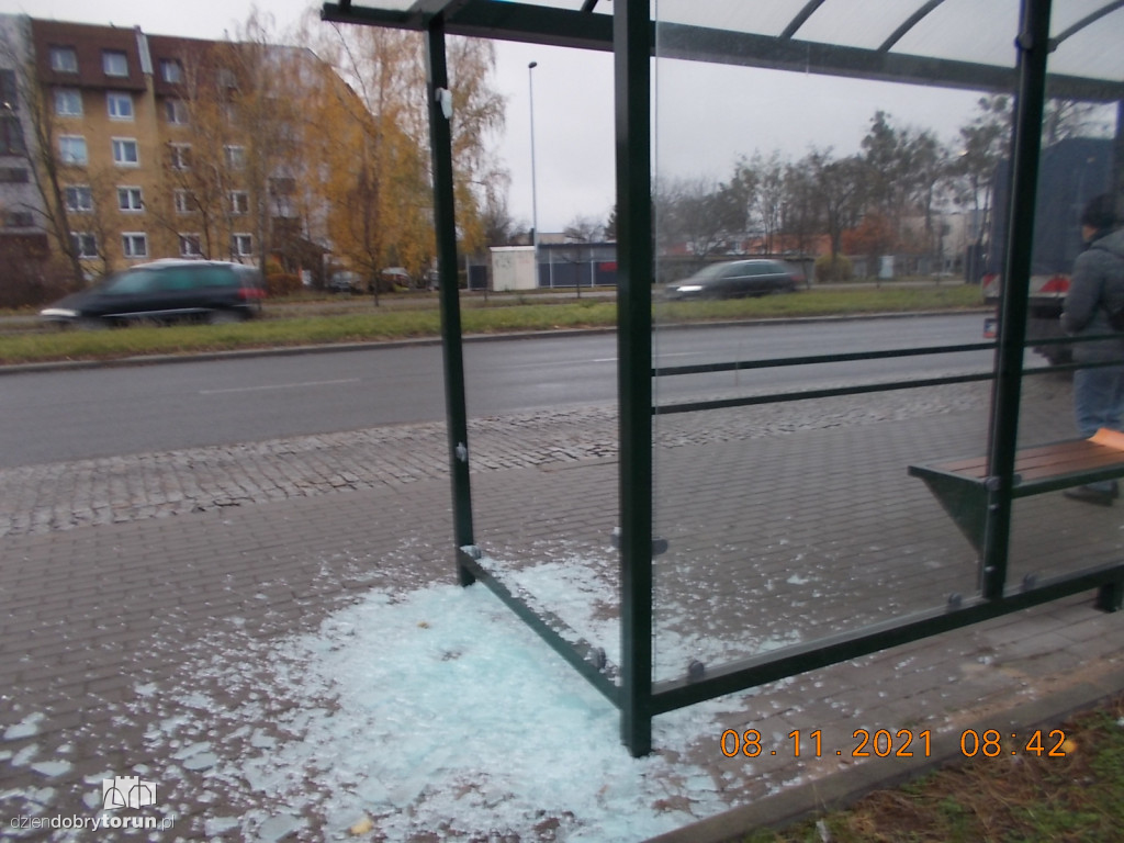 Toruń: wandale na przystanku