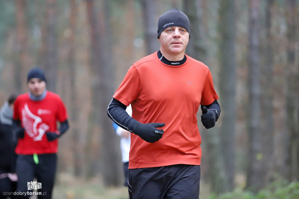 parkrun Toruń #268