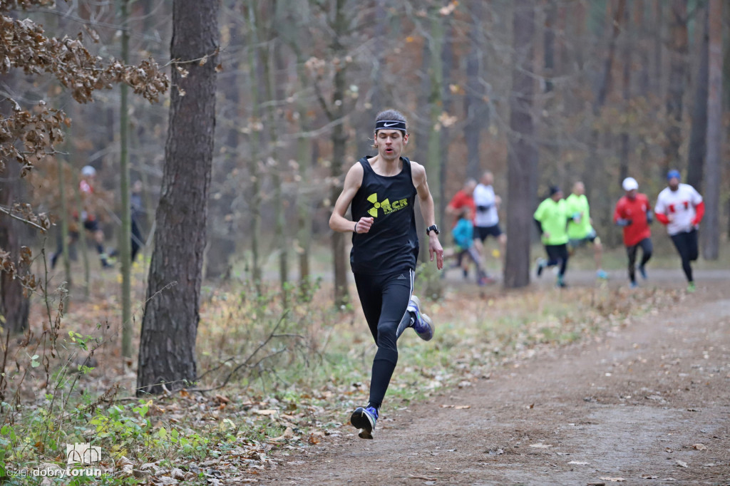 parkrun Toruń #268