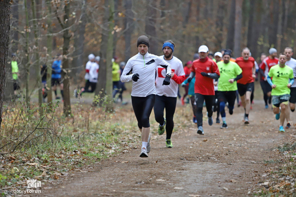 parkrun Toruń #268
