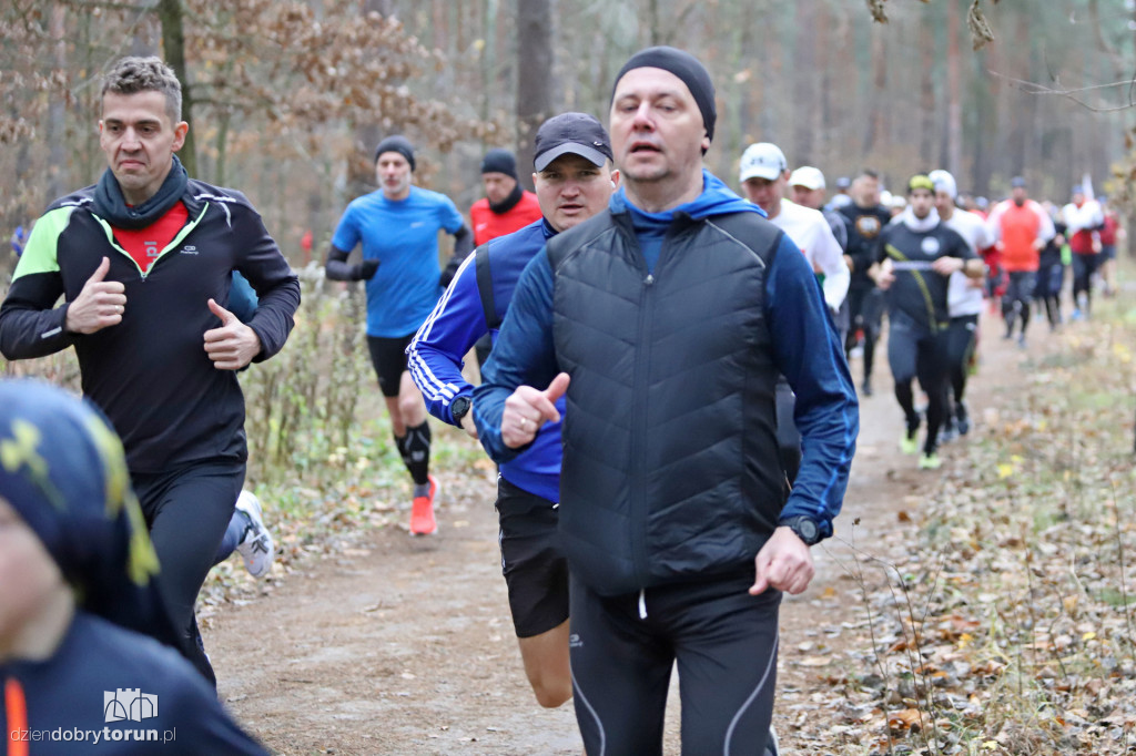 parkrun Toruń #268