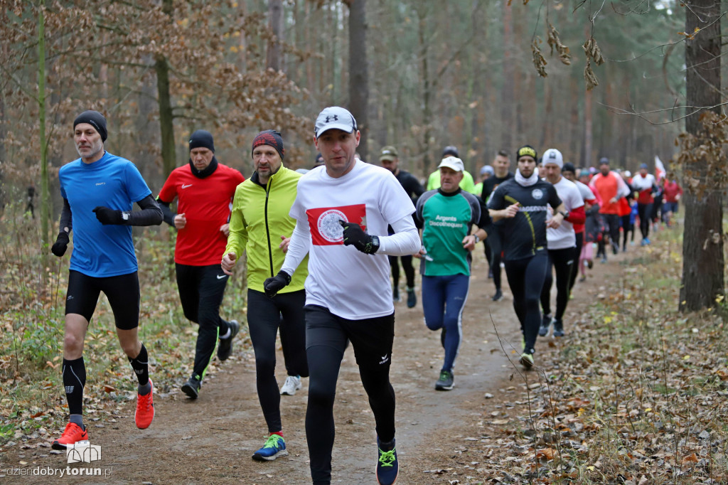 parkrun Toruń #268