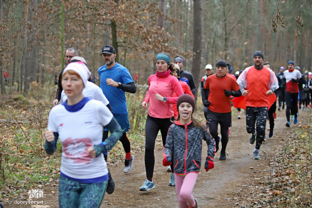 parkrun Toruń #268