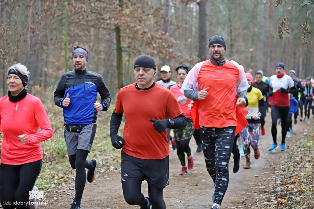 parkrun Toruń #268