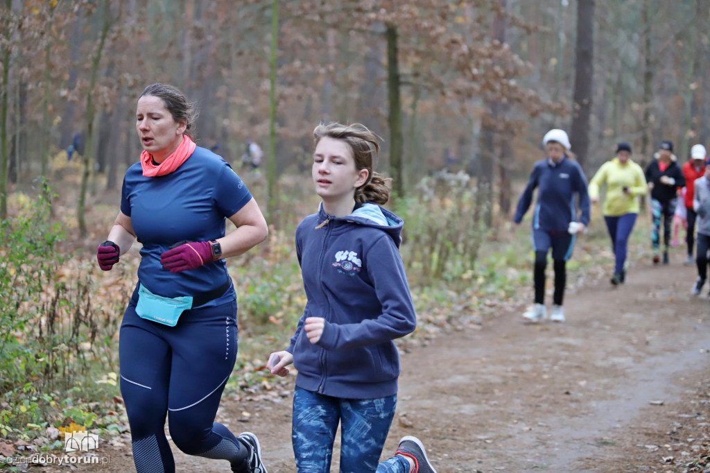 parkrun Toruń #268