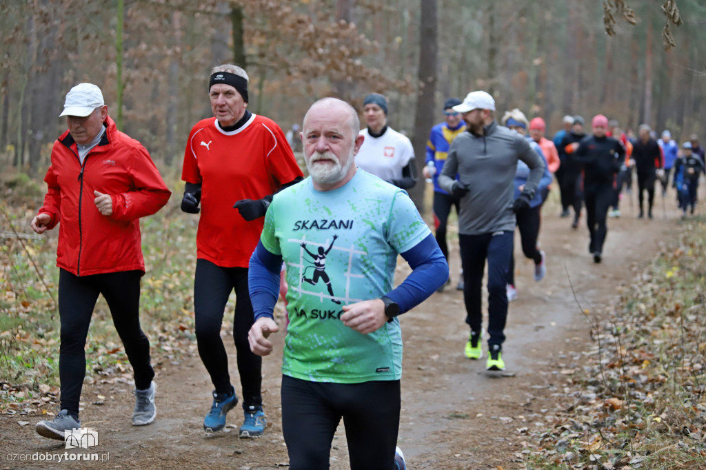 parkrun Toruń #268