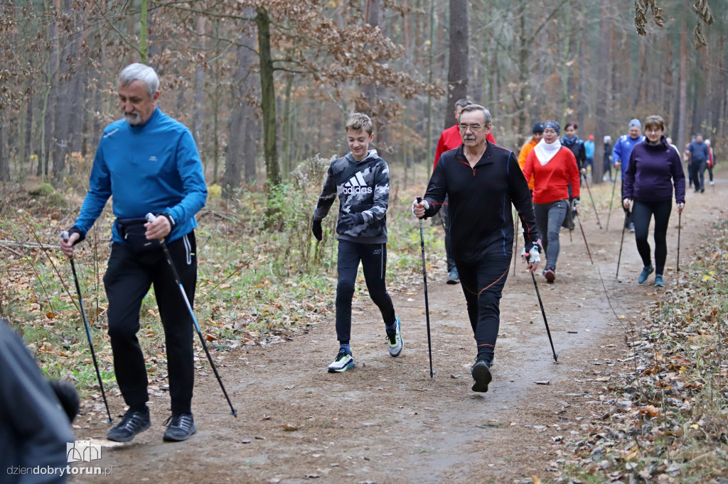parkrun Toruń #268