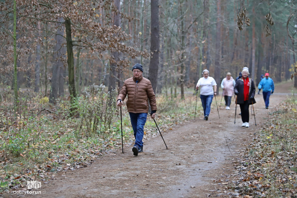 parkrun Toruń #268