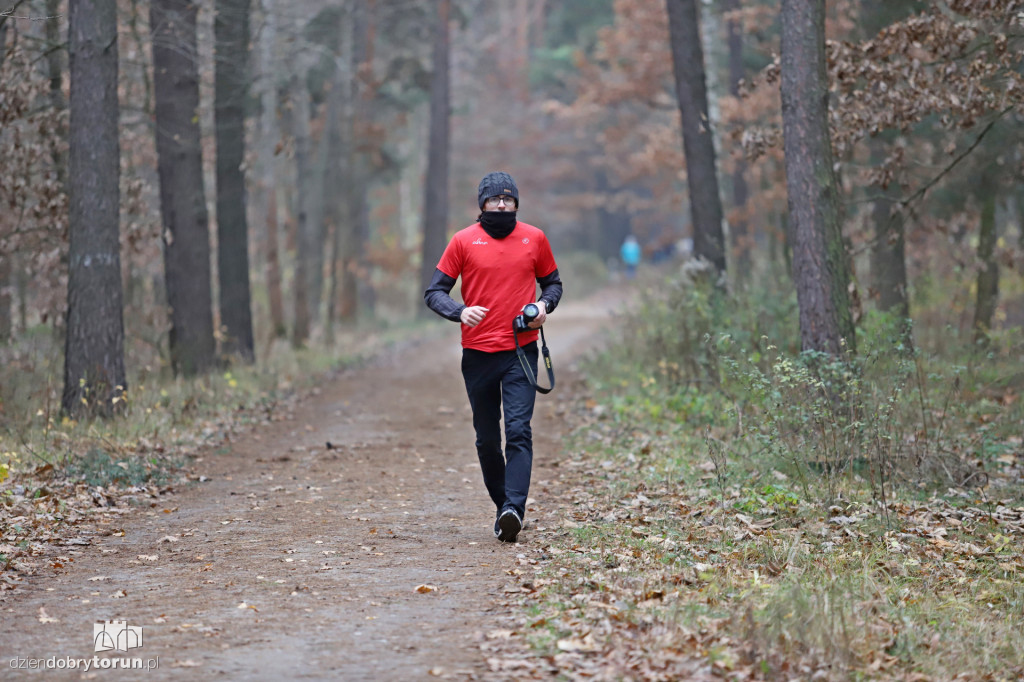 parkrun Toruń #268