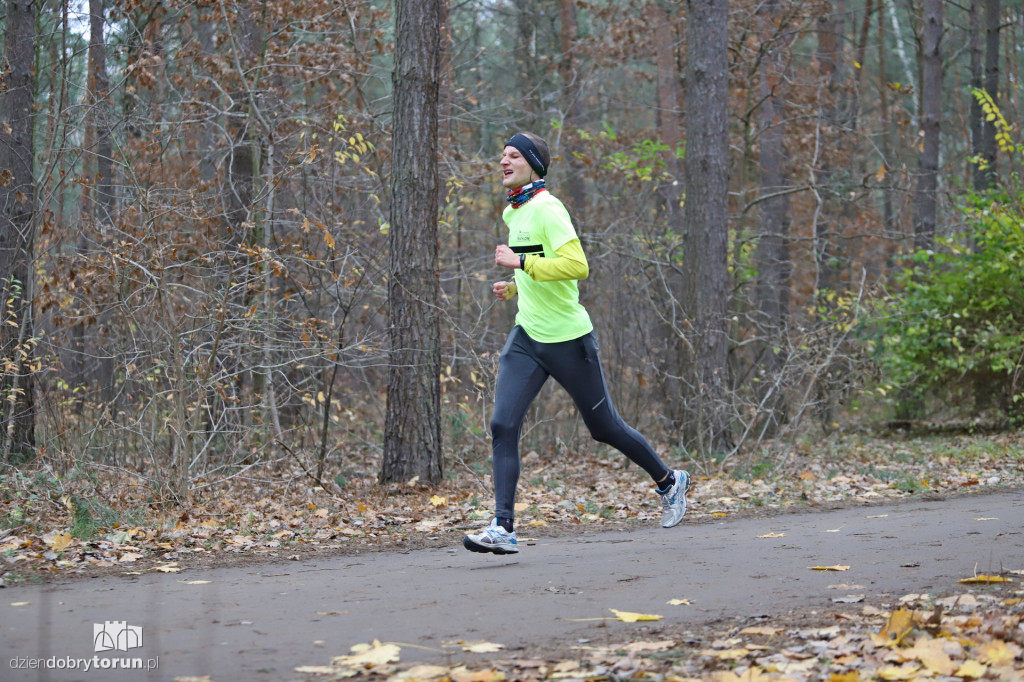 parkrun Toruń #268