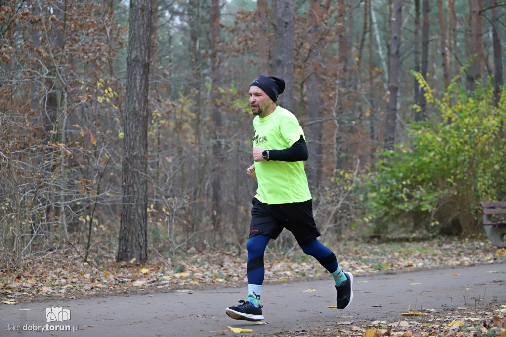parkrun Toruń #268
