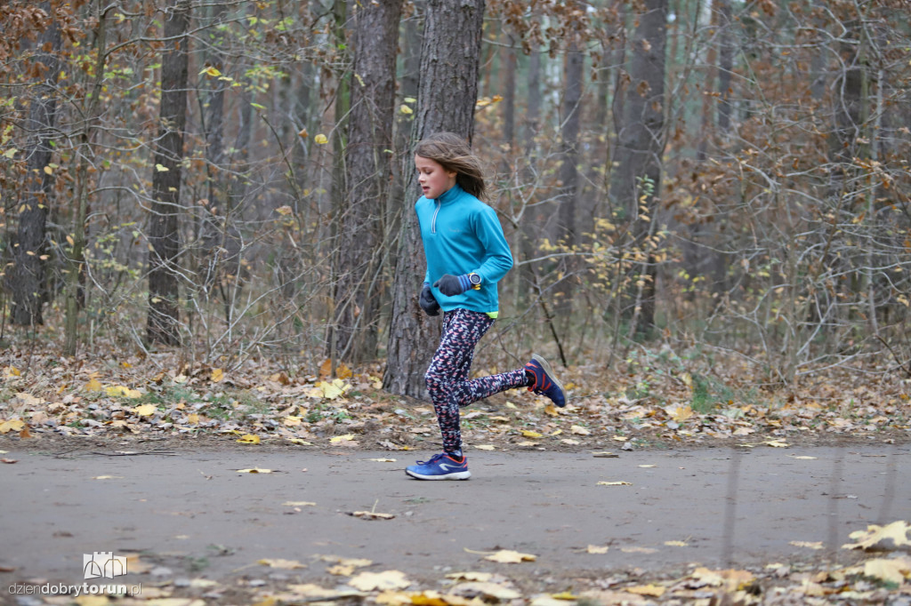parkrun Toruń #268