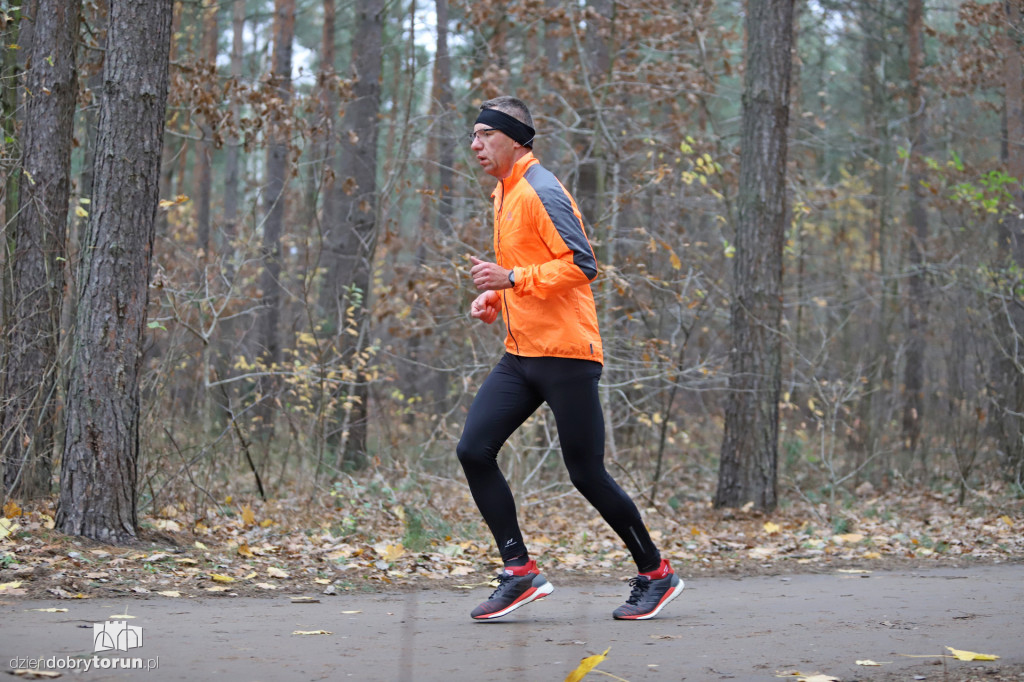parkrun Toruń #268