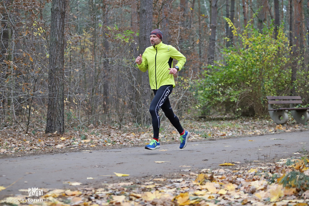 parkrun Toruń #268