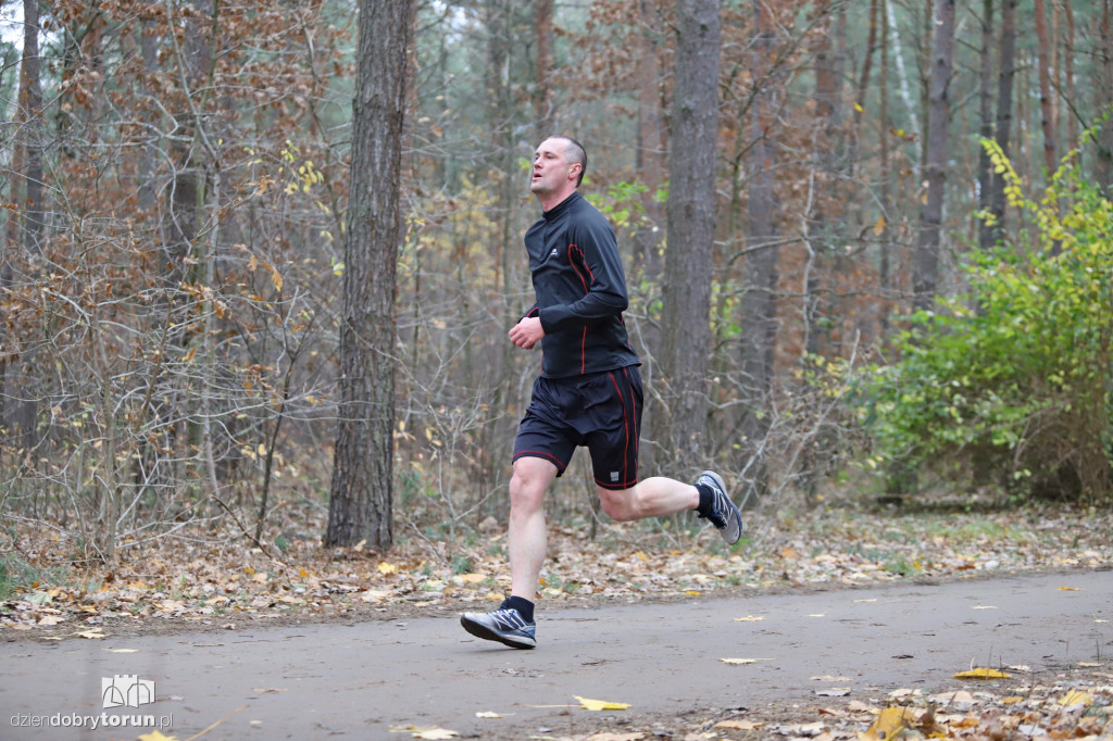 parkrun Toruń #268
