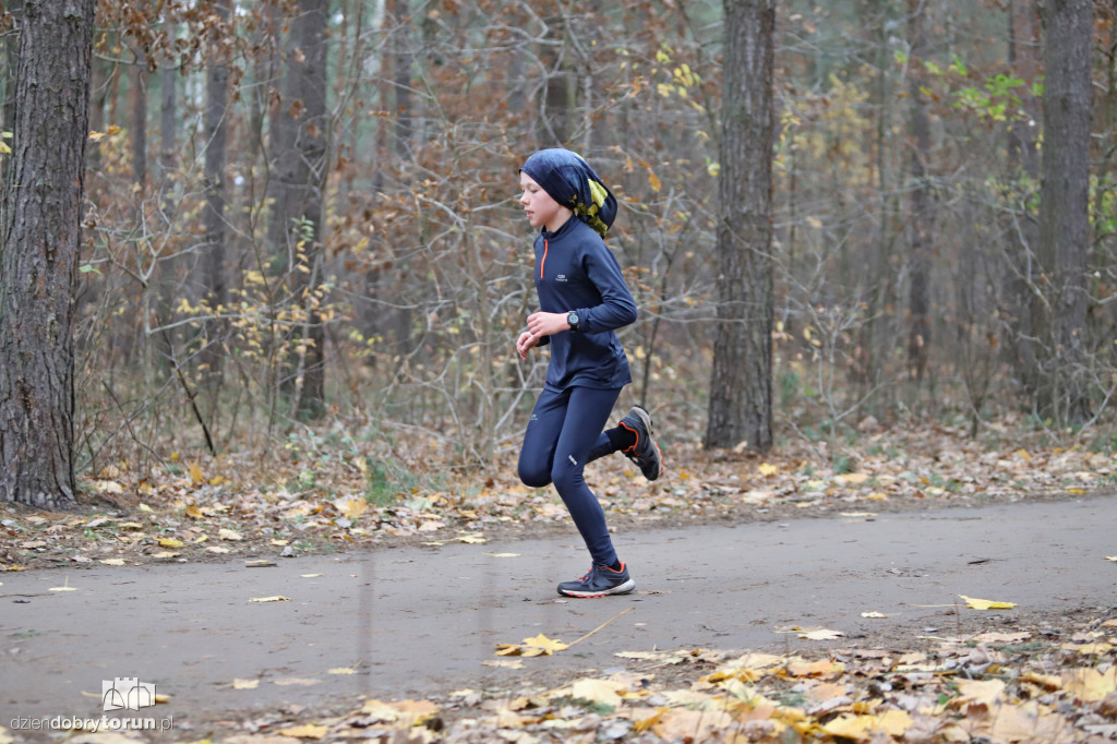 parkrun Toruń #268