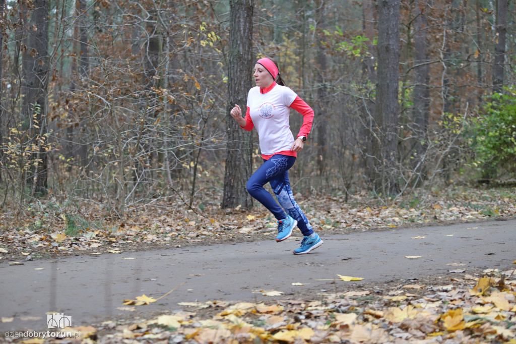 parkrun Toruń #268