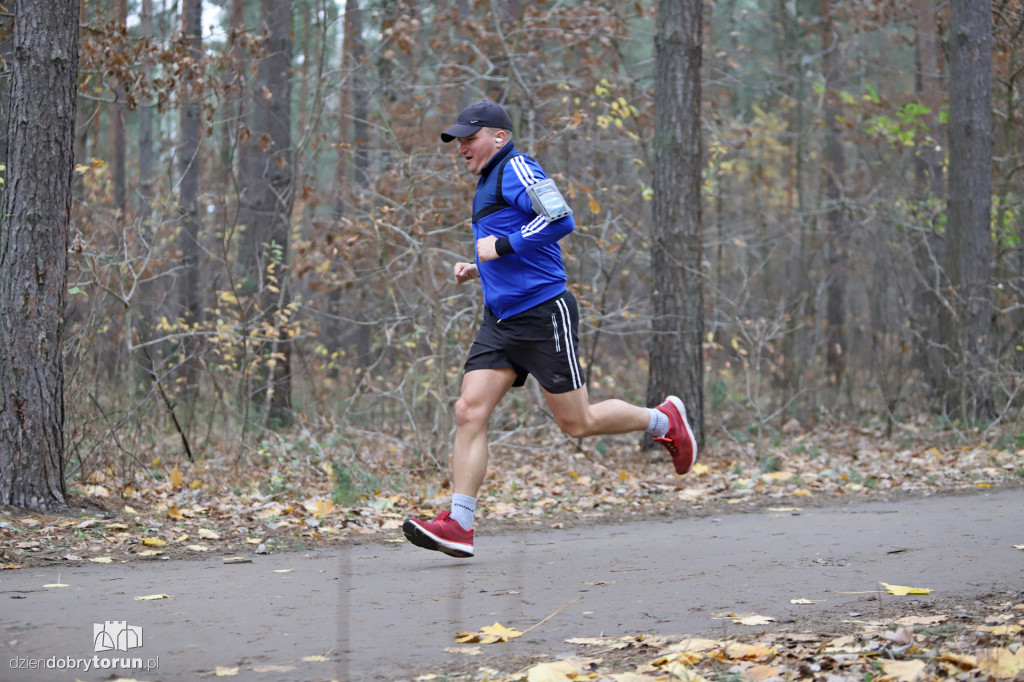 parkrun Toruń #268