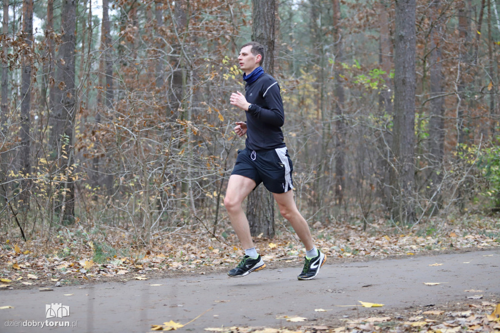 parkrun Toruń #268