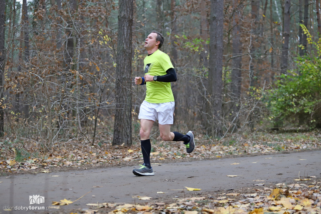 parkrun Toruń #268