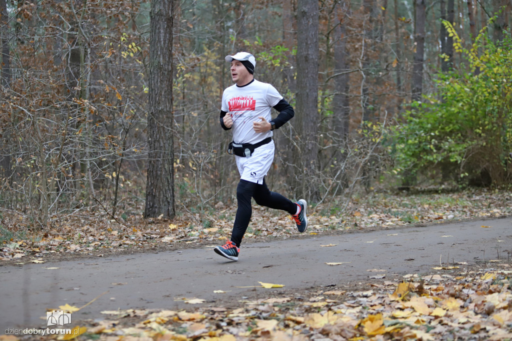 parkrun Toruń #268
