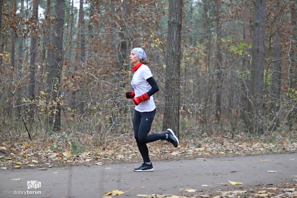 parkrun Toruń #268