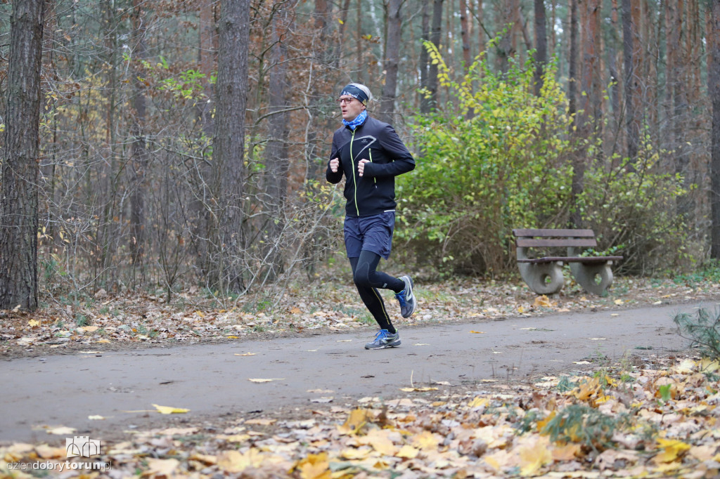 parkrun Toruń #268