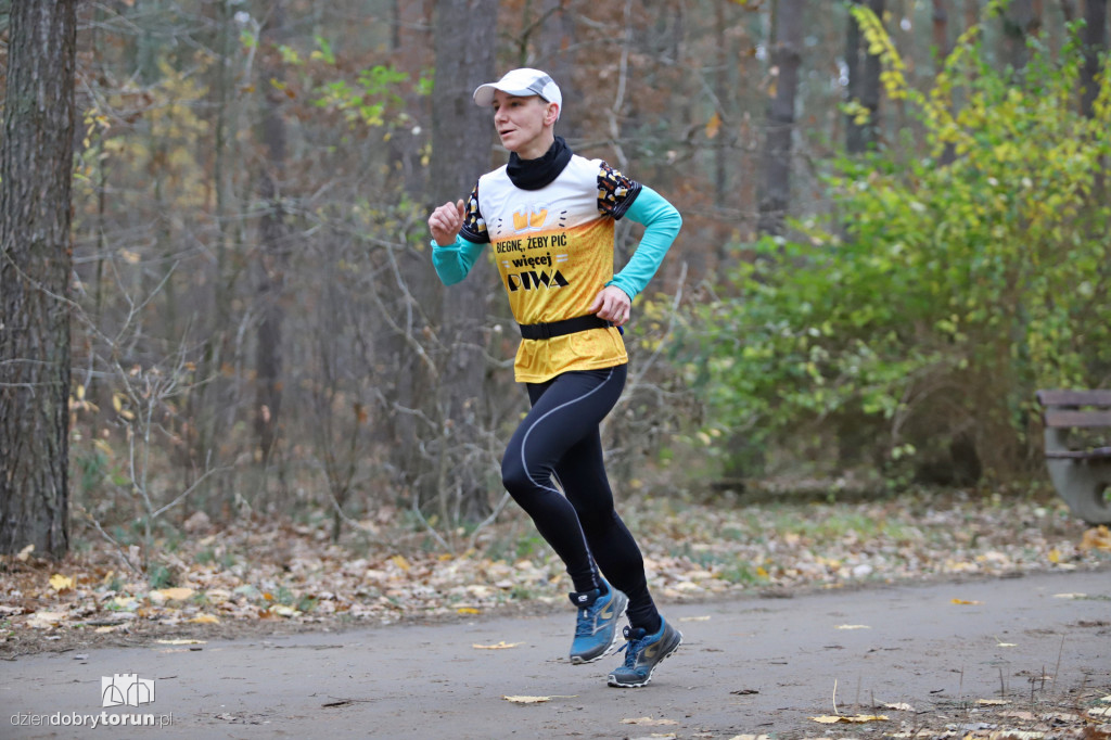 parkrun Toruń #268