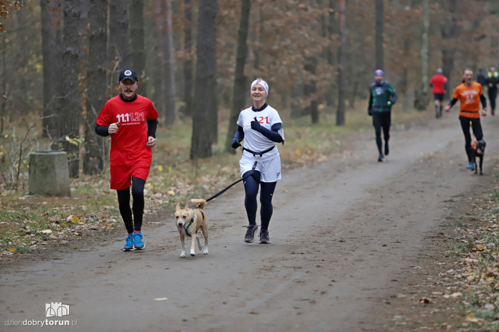 parkrun Toruń #268