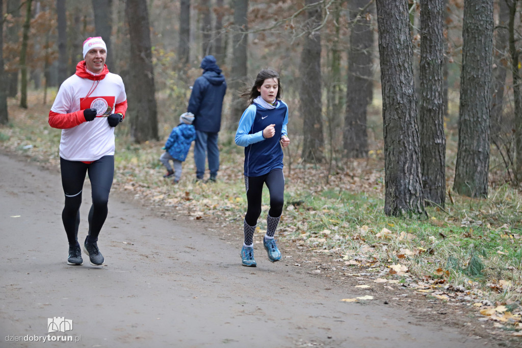 parkrun Toruń #268