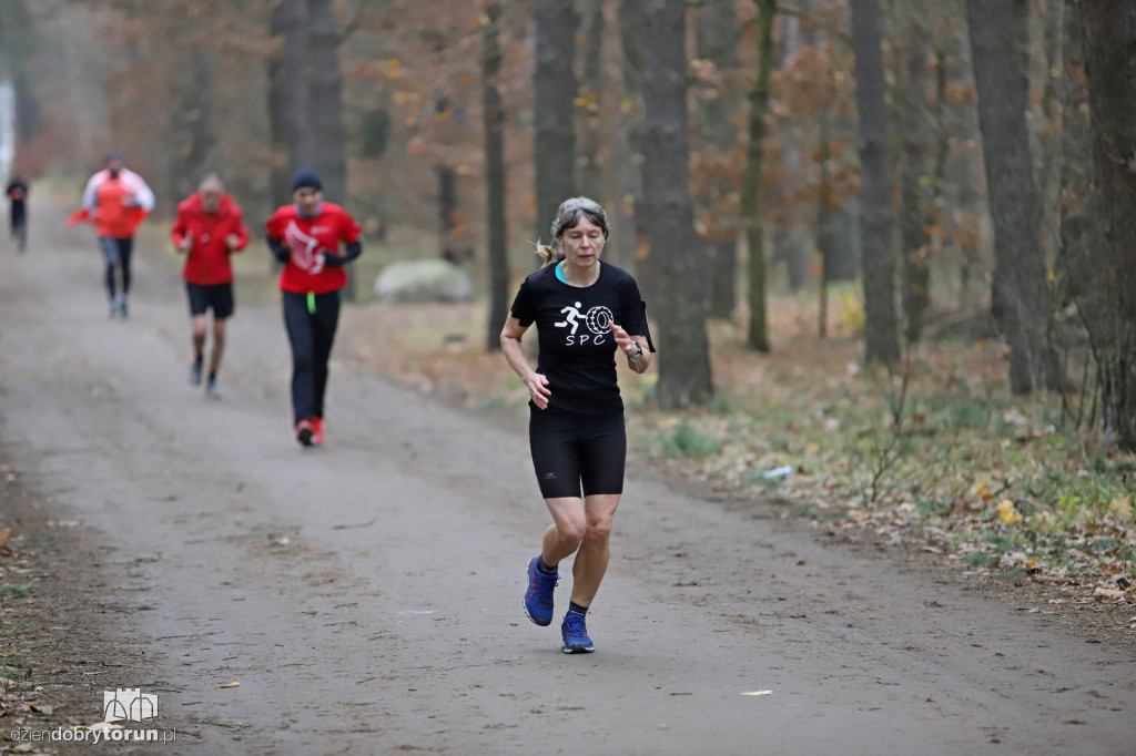 parkrun Toruń #268
