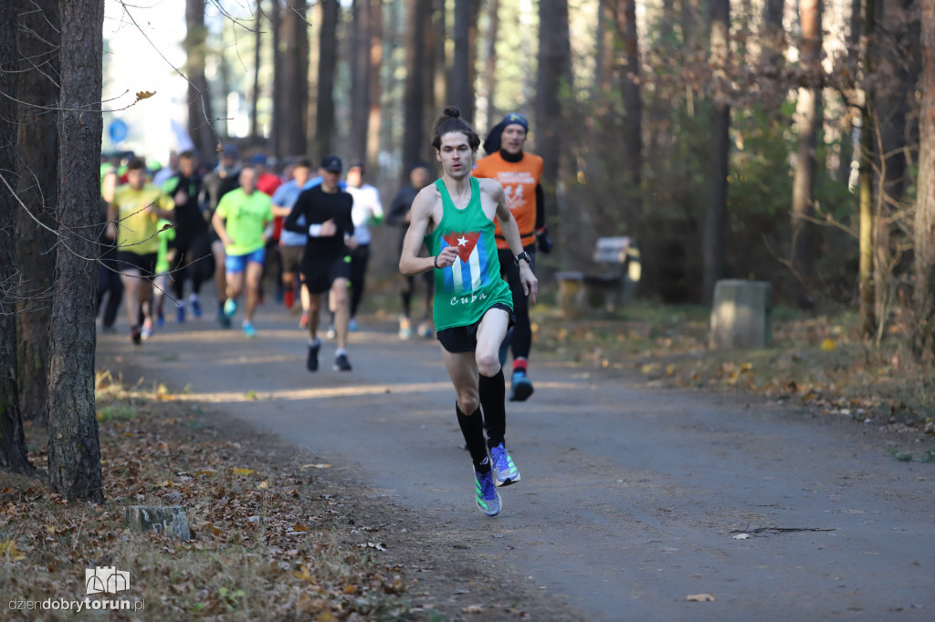 parkrun Toruń #269