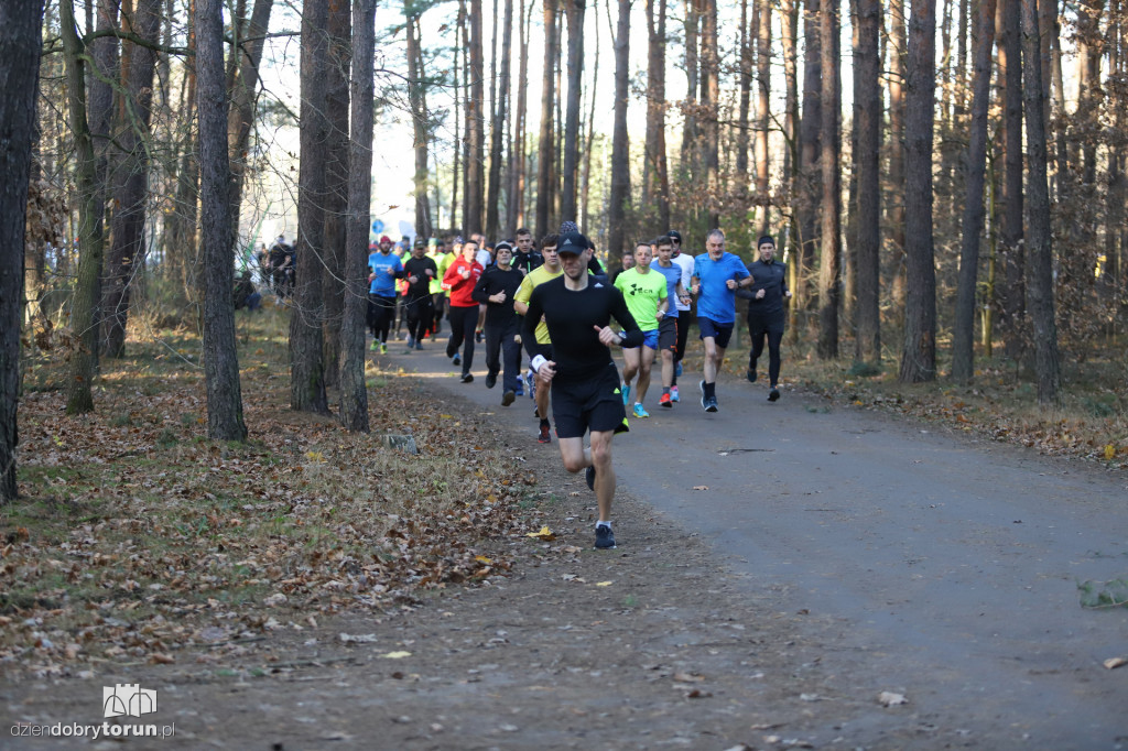 parkrun Toruń #269