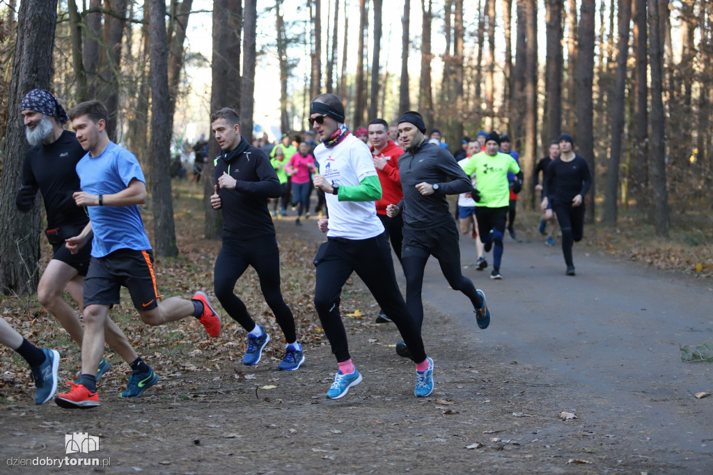 parkrun Toruń #269