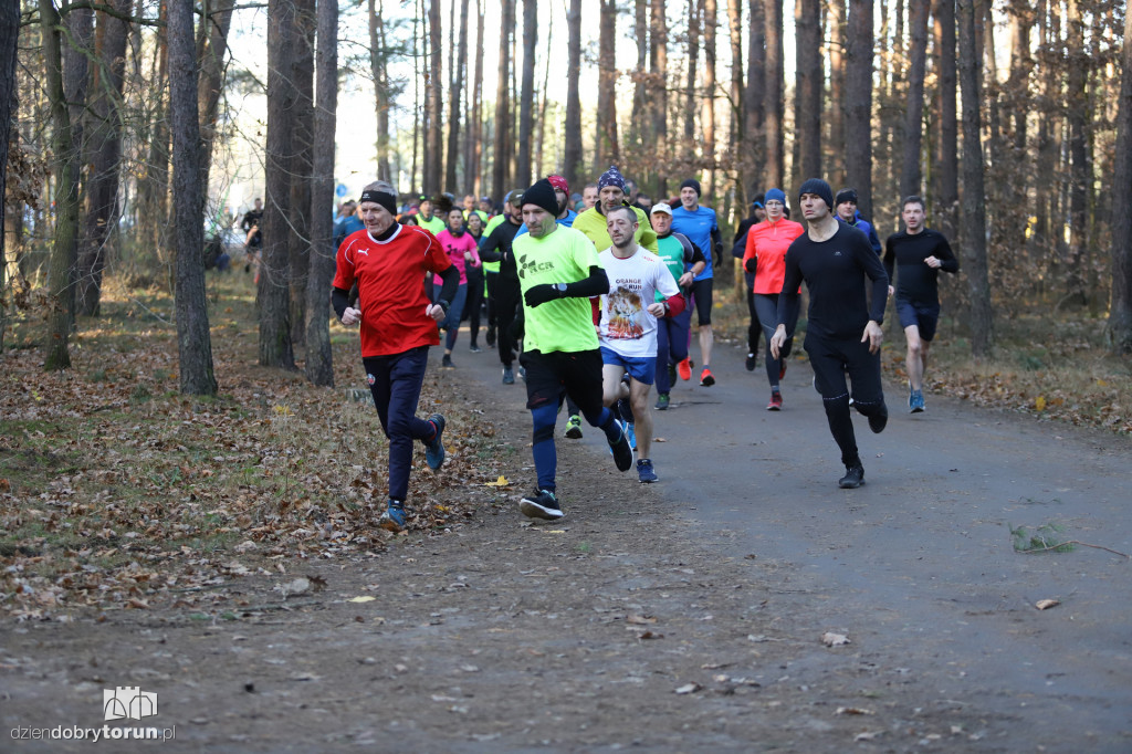 parkrun Toruń #269