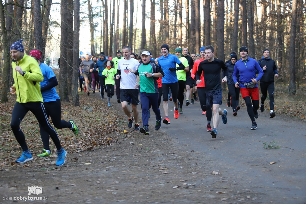 parkrun Toruń #269
