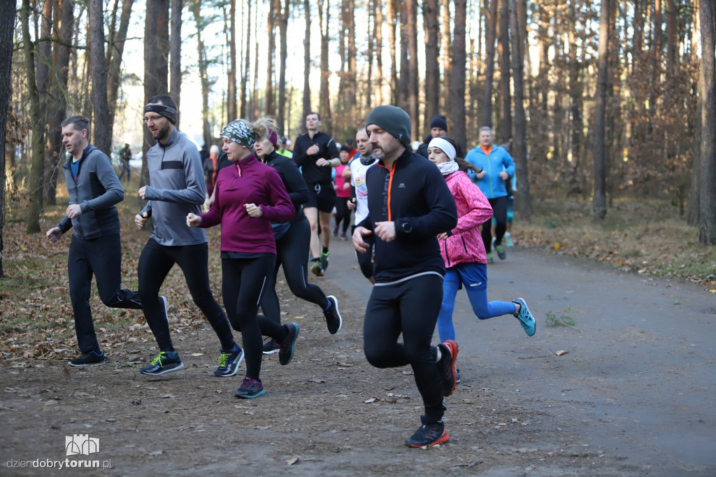 parkrun Toruń #269