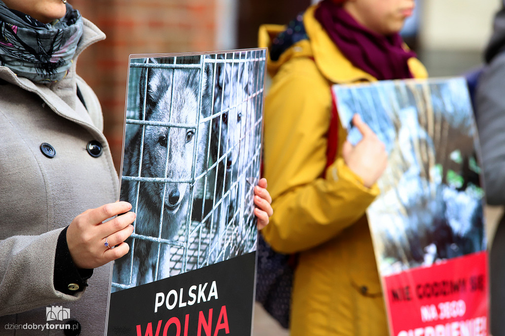 Dość hodowli zwierząt na futra - protest