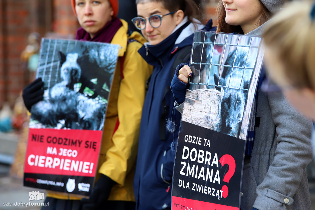 Dość hodowli zwierząt na futra - protest