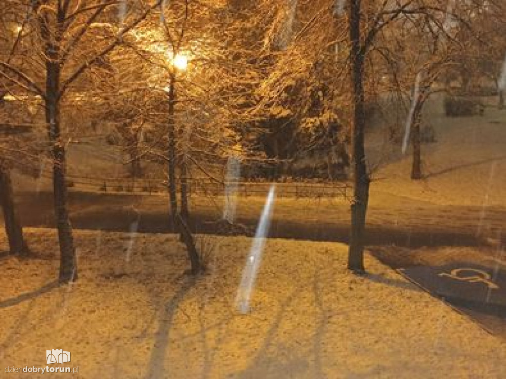 Opady śniegu w Toruniu