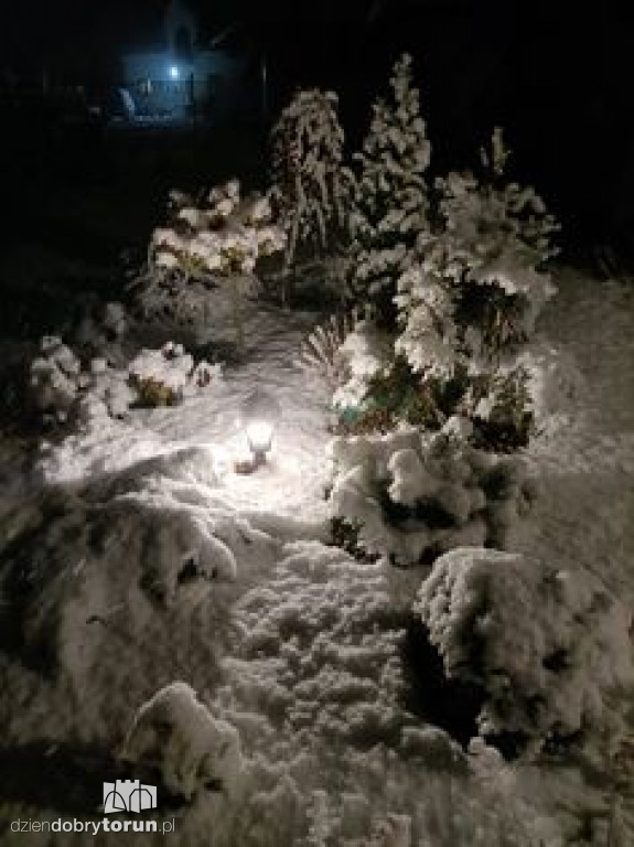 Opady śniegu w Toruniu