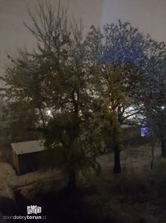 Opady śniegu w Toruniu
