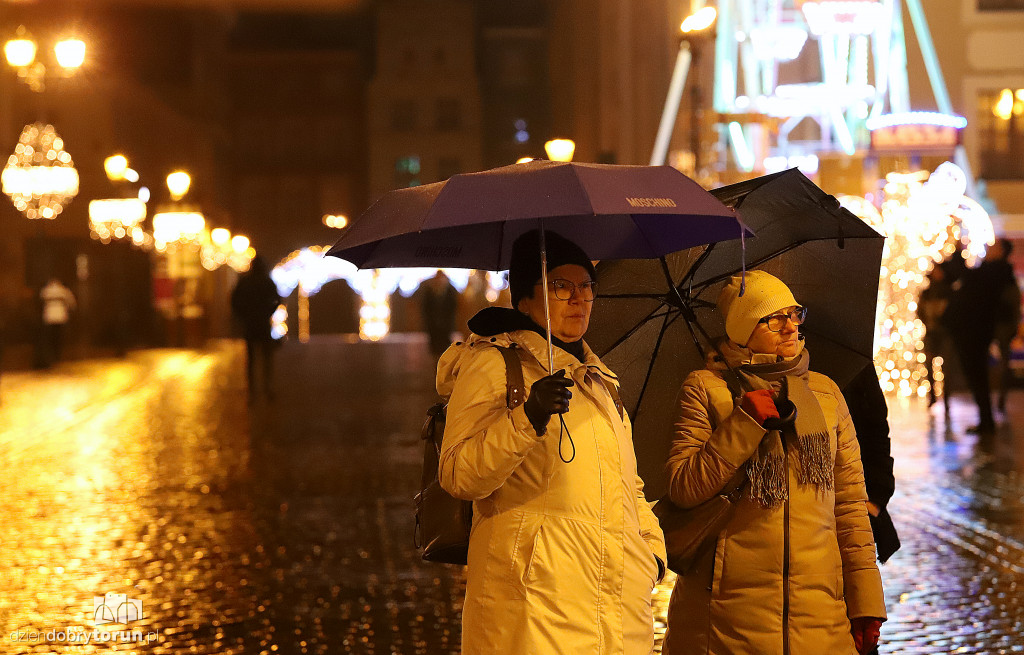 Pikieta Toruńskiej Brygady Feministycznej