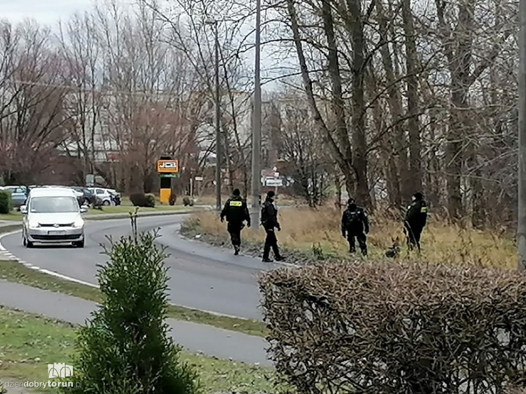 Toruń: akcja policji przy Wapiennej