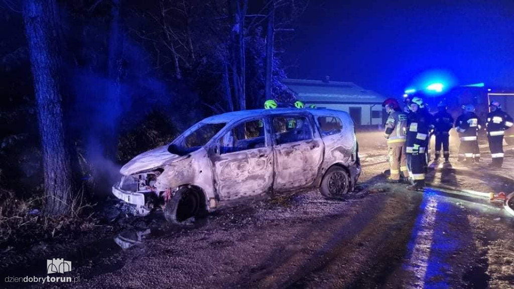 Auto uderzyło w drzewo pod Toruniem