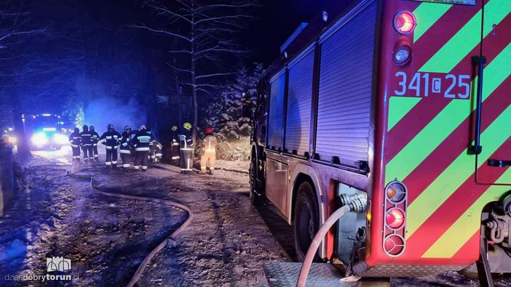 Auto uderzyło w drzewo pod Toruniem