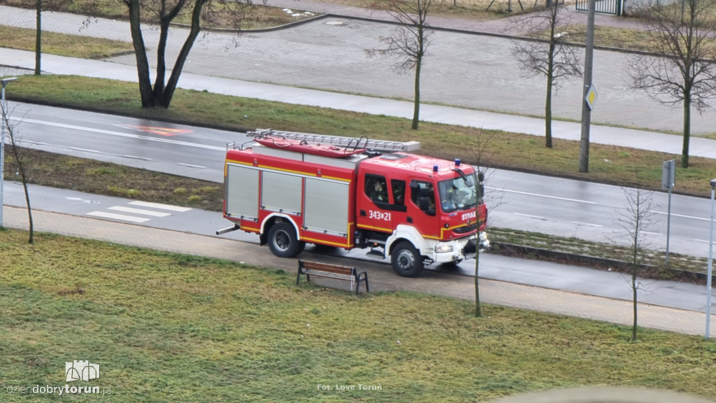 Toruń: interwencja strażaków w szkole podstawowej
