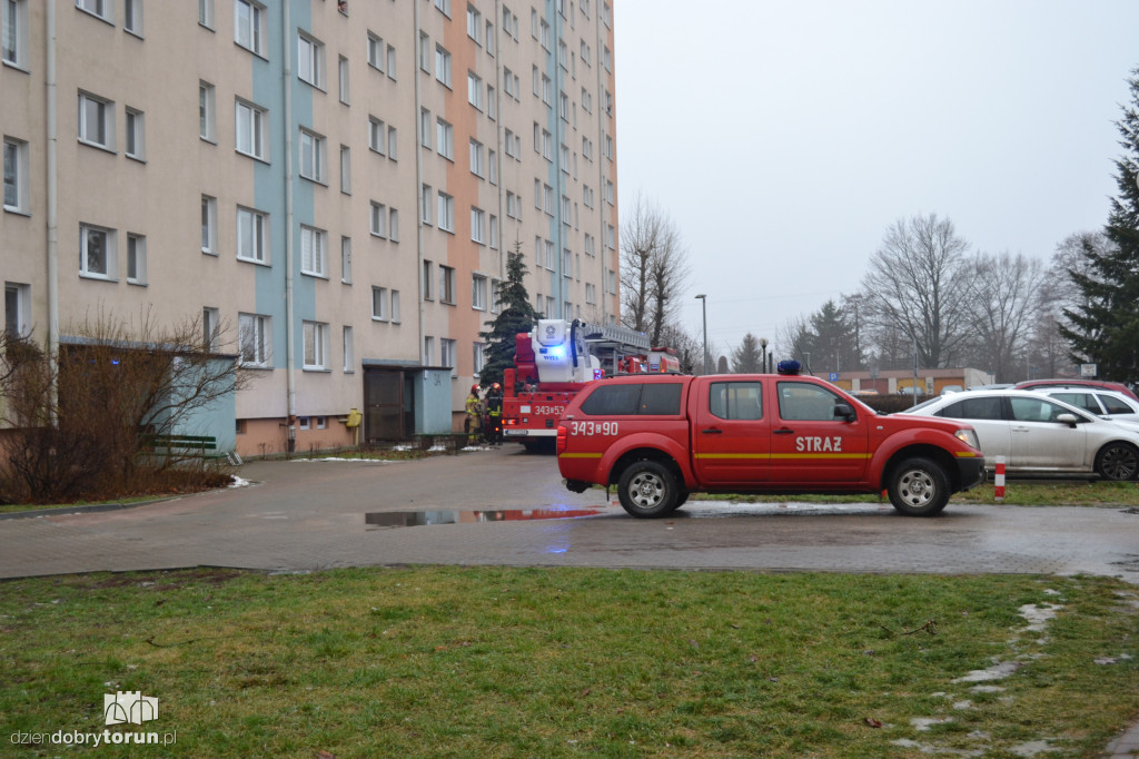 Toruń: pożar przy Filomatów Pomorskich